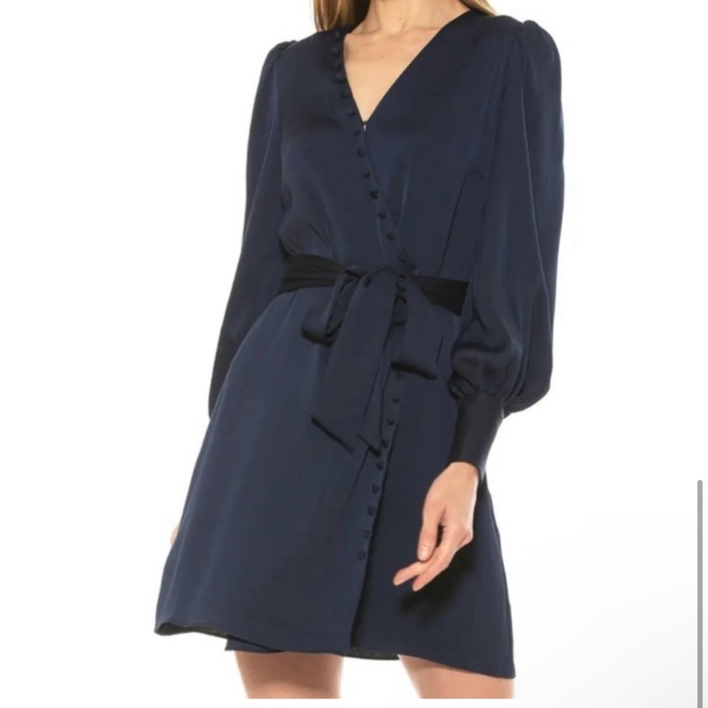 Blouson Sleeve Wrap Dress